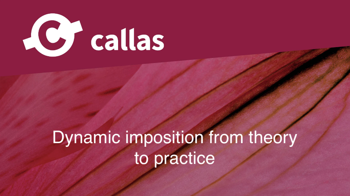 Webinar - Dynamic imposition from theory to practice