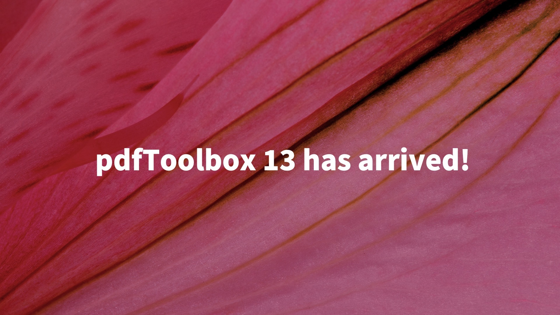 callas software releases pdfToolbox 13
